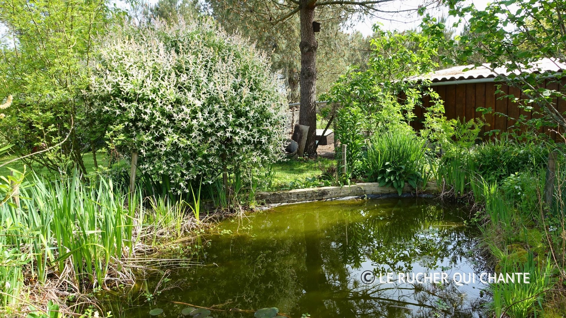 You are currently viewing Comme un air de printemps